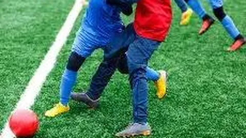 黑土地催生运动英才：揭秘冰雪冠军诞生之地